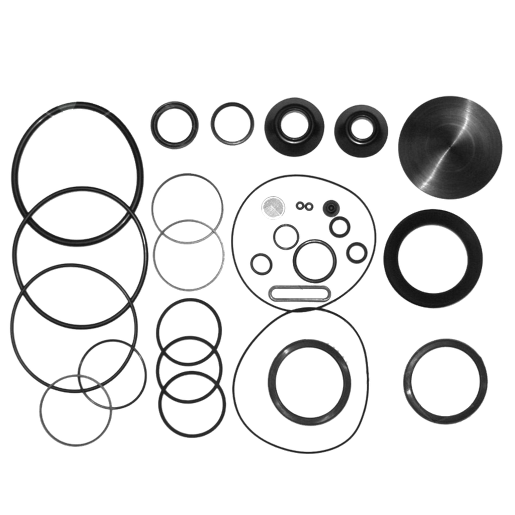 Kit Sellos del Sector Dirección Mack Vision Cheppar M-100