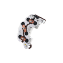 Diodera alternador Kodiak (33/34SI)