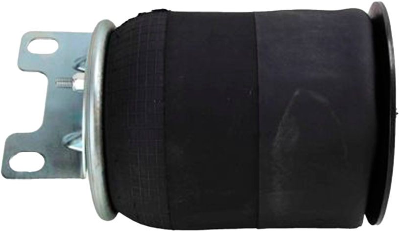 Bolsa Suspension Mack Vision Trasera