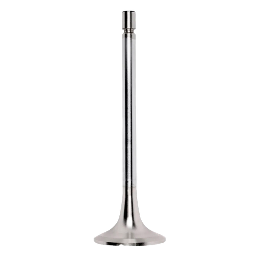 [4.62630] Valvula de admision MB4000