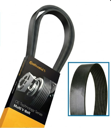 [815.4080570X] Correa Corta Multicanal freightliner CL-120/M2 de 8PK1450 o 73.6" Longitud
