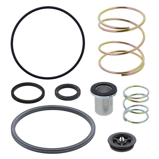 [LKT1179] Kit reparacion valvula relay R12