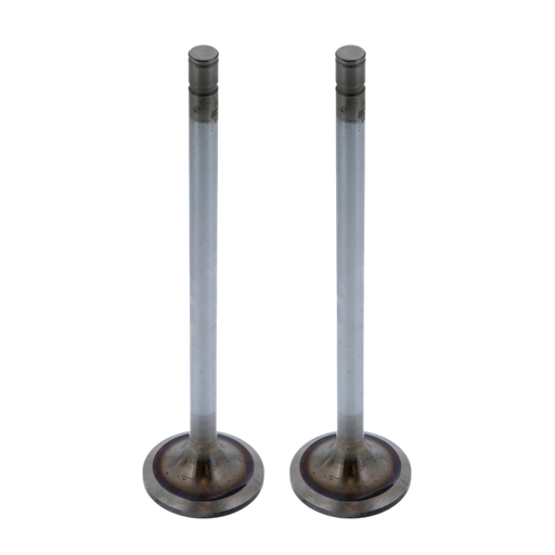 [EM81320] Valvula admision mack E6 pulida 2/4 vlavulas