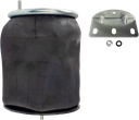 Bolsa Suspension Mack Vision Trasera