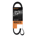 Correa multicanal A/A-alter. MP8 8 canal