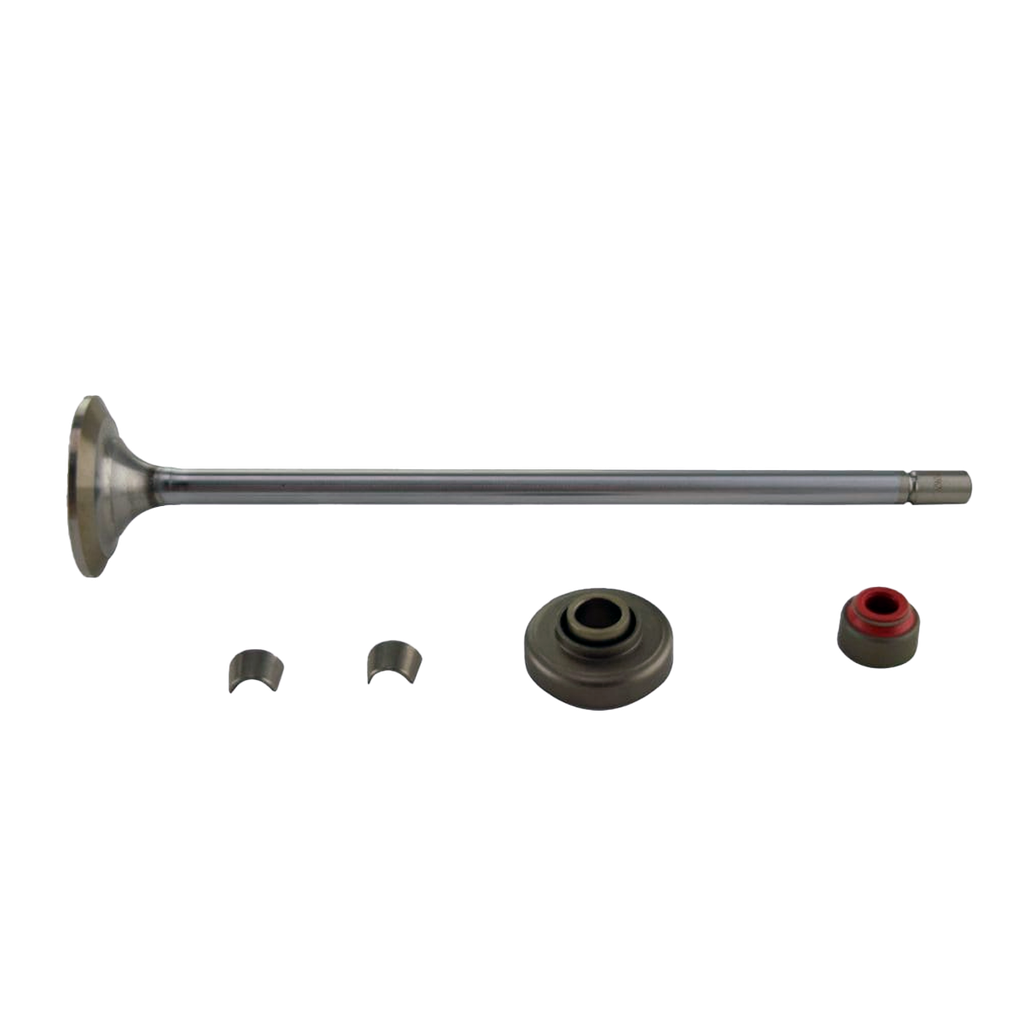 Kit Valvula de admision S60 1 pza