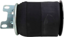 Bolsa Suspension Mack Vision Trasera
