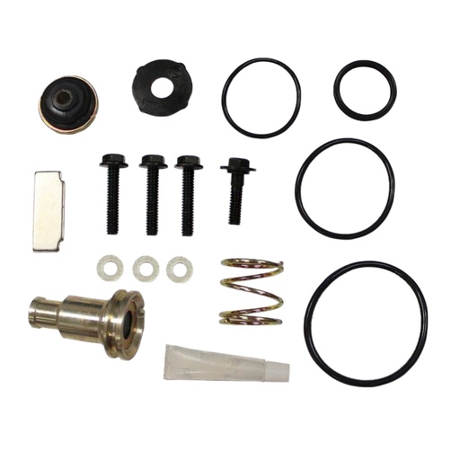 [170.107798] Kit Valvula purga del filtro secante AD9