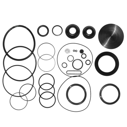 [465.4037] Kit Sellos del Sector Dirección Mack Vision Cheppar M-100