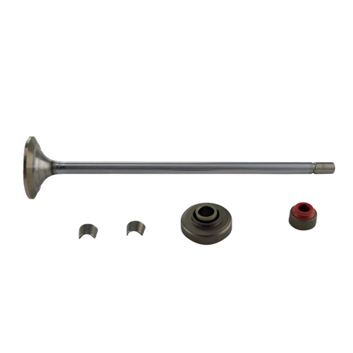 [ES23501576] Kit Valvula de admision S60 1 pza